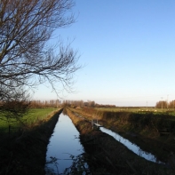 Thats a water filled ditch along the A39, where there are lots of casualties