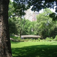 This is central park