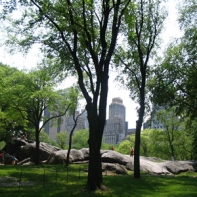 This is also central park