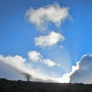 South West Coast Path - Minehead to Porlock Weir