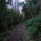 South West Coast Path - Minehead