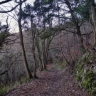 South West Coast Path - Minehead to Porlock Weir