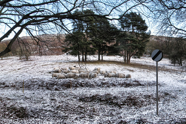 Roadside 17-12-10 - Lost somewhere in the Malvern Hills.