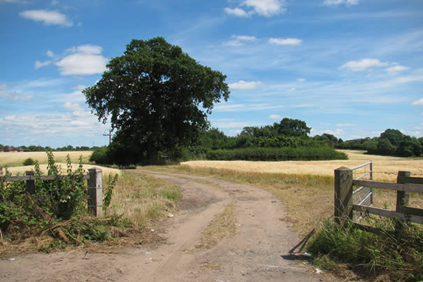 Roadside 10-07-10 @ The Dog in the Lane, Shropshire